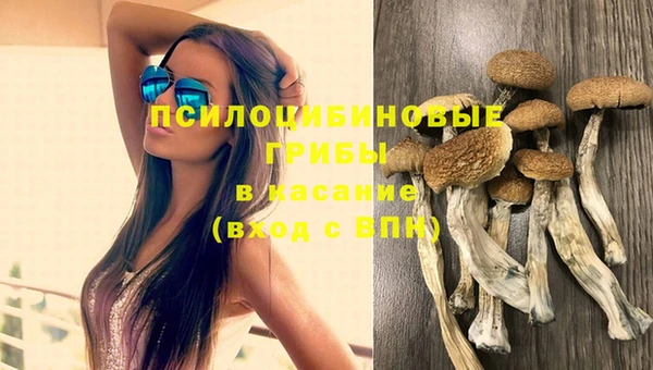 бутират Алексин